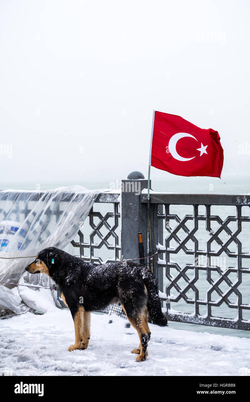 Istanbul Eminönü nella neve Foto Stock