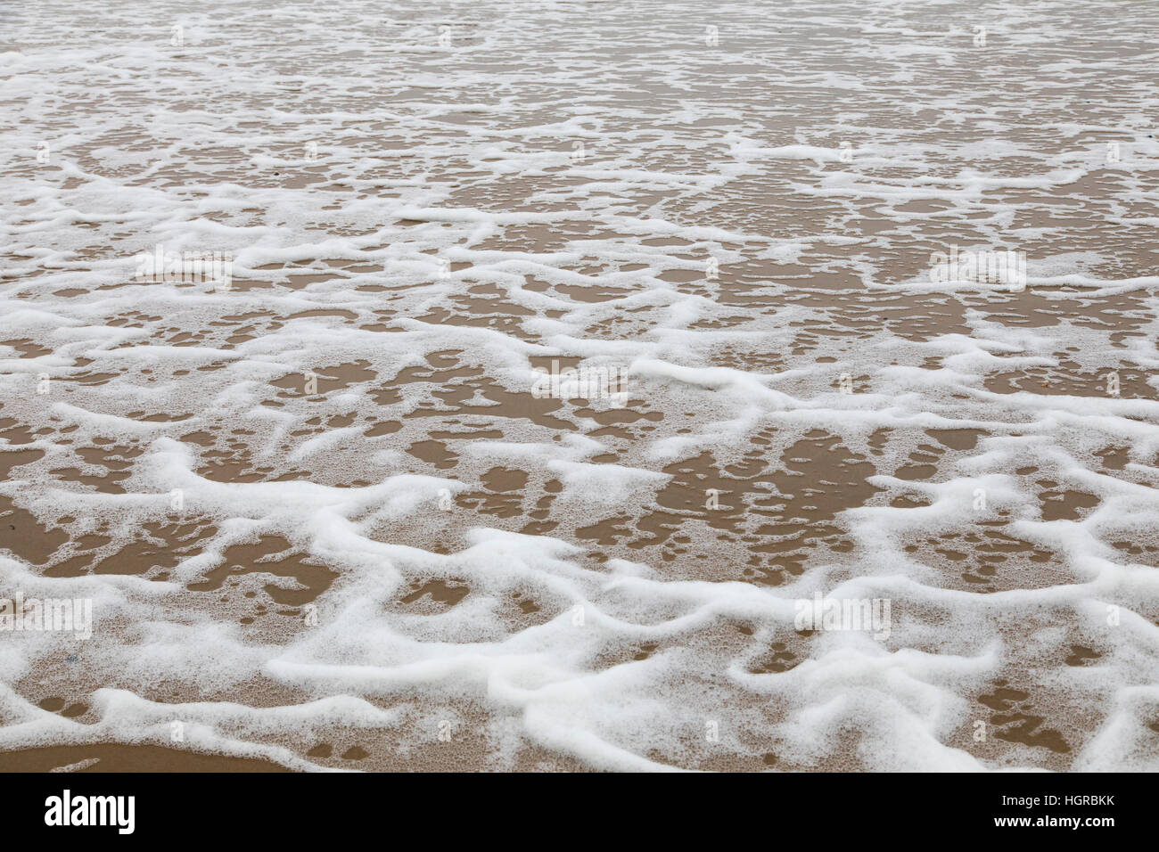 Schiuma di Mare, è formata da un forte vento e le particelle organiche presenti sulla superficie dell'acqua. Di solito queste particelle sono alghe o sali disciolti, Mare del Nord, str Foto Stock