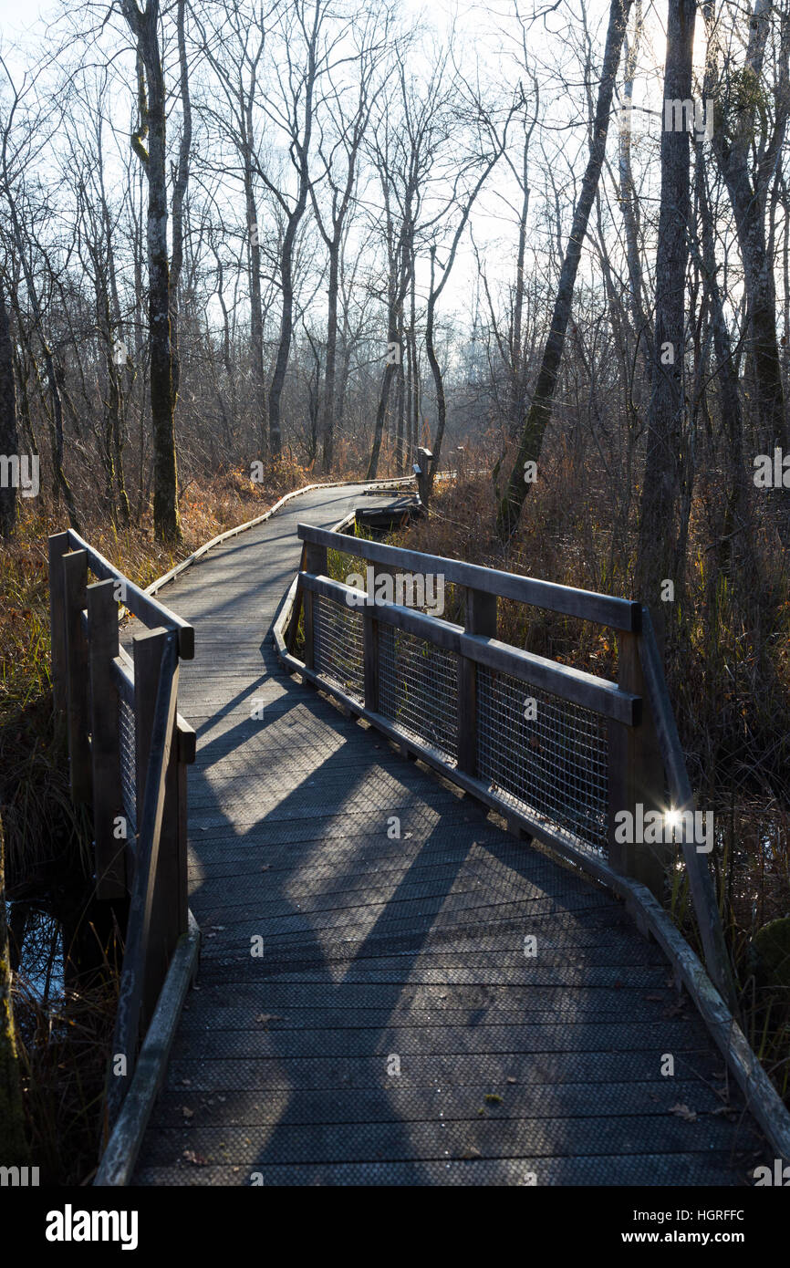 La passerella / percorso / percorso a piedi / sentiero per camminare i turisti / escursionisti in Marais de Lavours Riserva Naturale Nazionale, ain, Francia Foto Stock