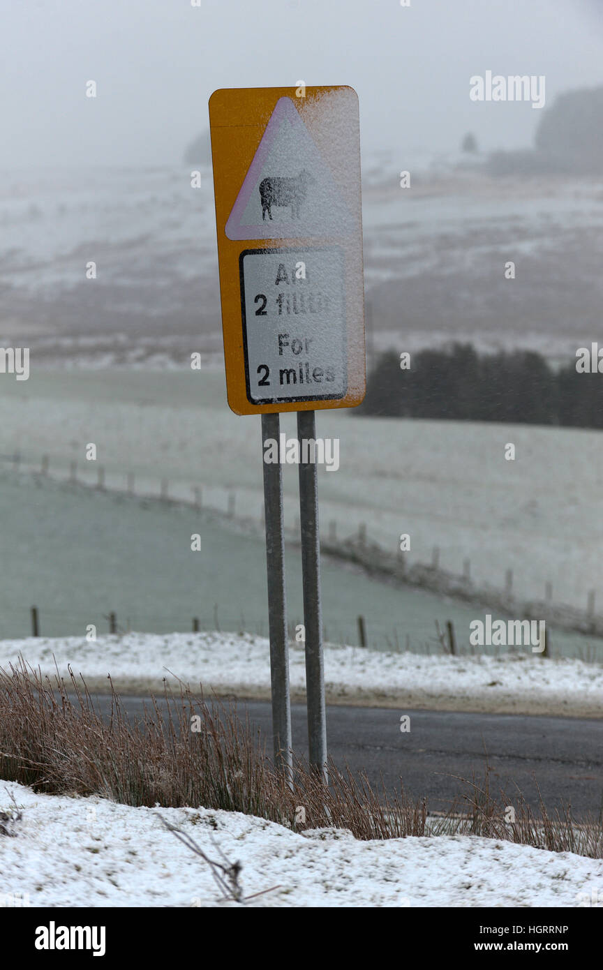 Builth Wells, Powys, Wales, Regno Unito. Il 12 gennaio 2017. I segni sono visto brillare con la neve sulle alte brughiere di Mynydd Epynt intervallo vicino Builth Wells in Powys, metà del Galles, UK. © Graham M. Lawrence/Alamy Live News. Foto Stock