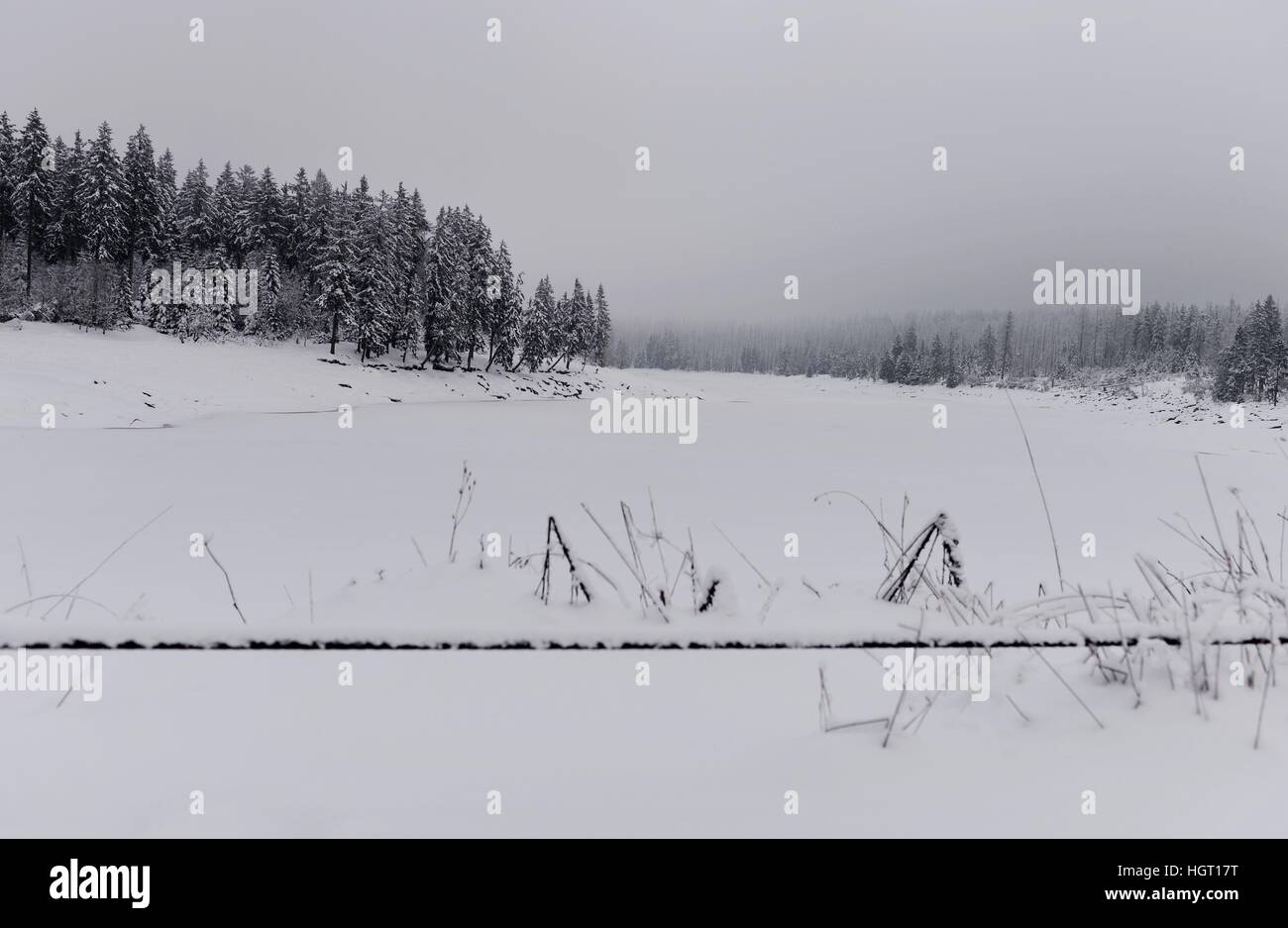 Paesaggio invernale, Germania, nella catena montuosa di Harz, 11. Gennaio 2017. Foto: Frank Maggio | Utilizzo di tutto il mondo Foto Stock
