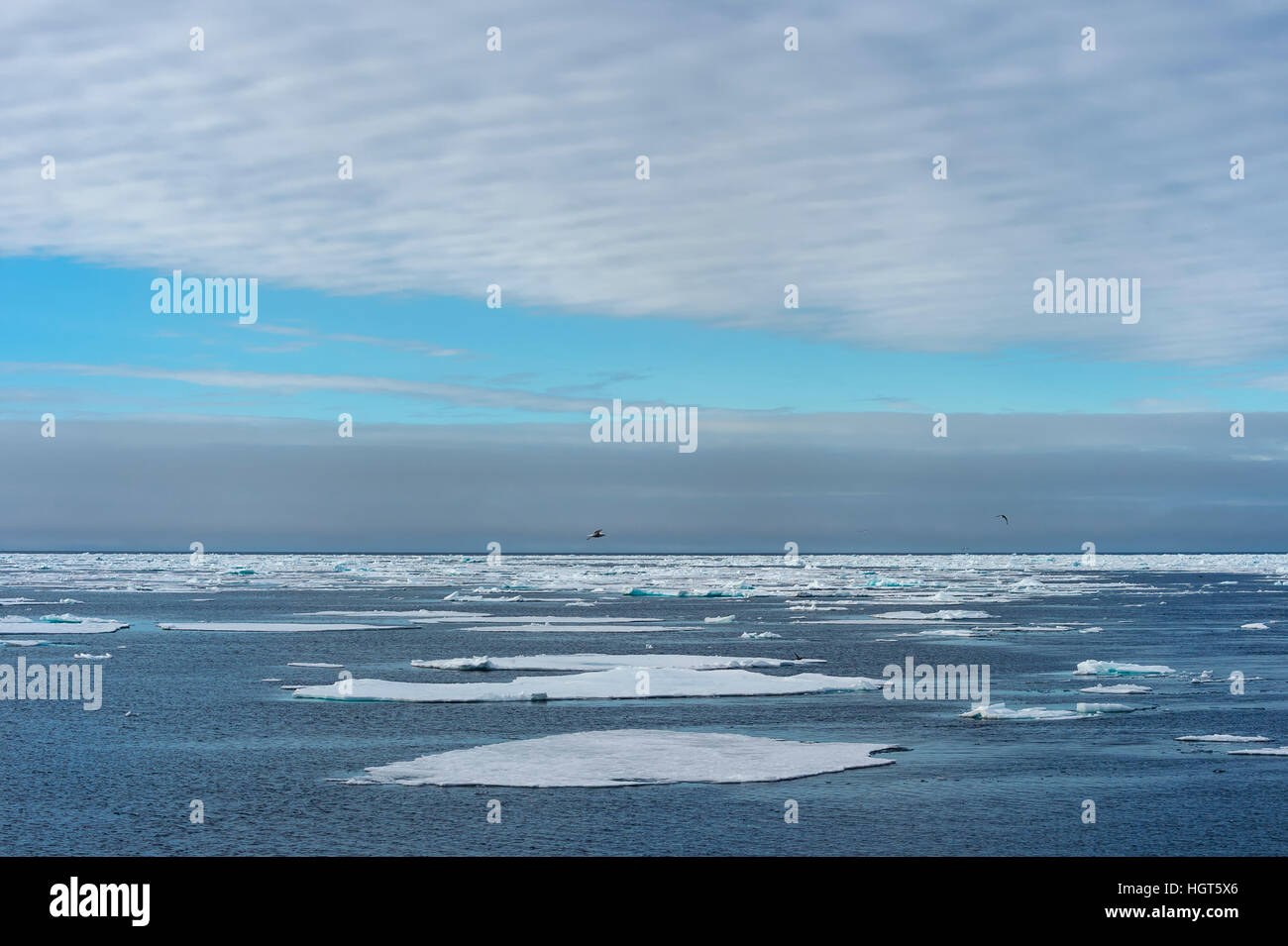 Oceano Artico, 81° nord e 26° Est, arcipelago delle Svalbard, Norvegia, Europa Foto Stock