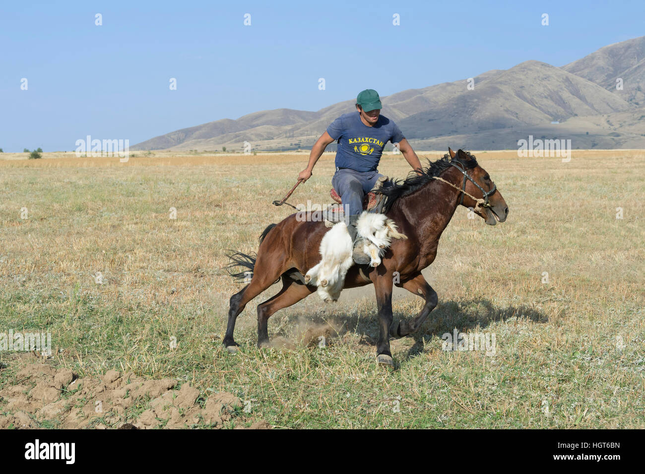 Tradizionale o Kokpar buzkashi nella periferia di Gabagly national park, Shymkent, regione sud, del Kazakistan, dell'Asia centrale Foto Stock