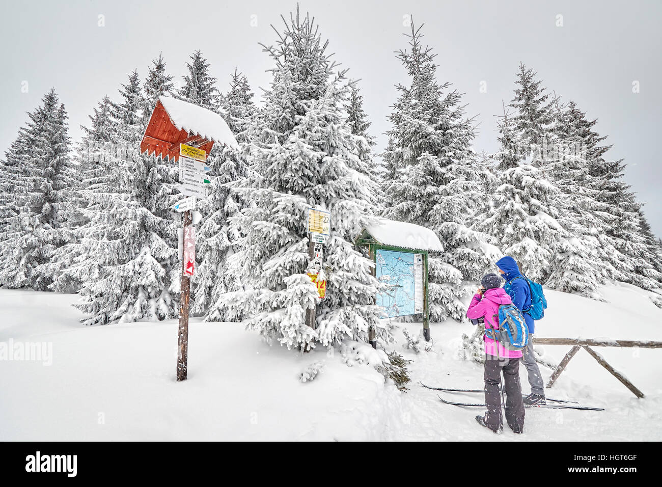 Jakuszyce, Polonia - Gennaio 06, 2017: turistici guardando una mappa dei percorsi di sci di fondo trail intersezione. Foto Stock