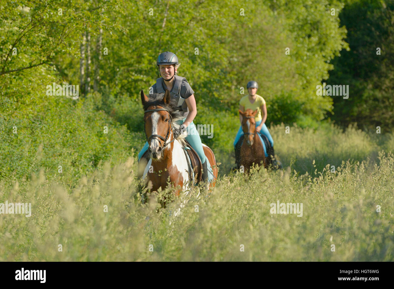 Due rider cavallo al galoppo in un prato, pony e cavalli di Trakehnen Foto Stock