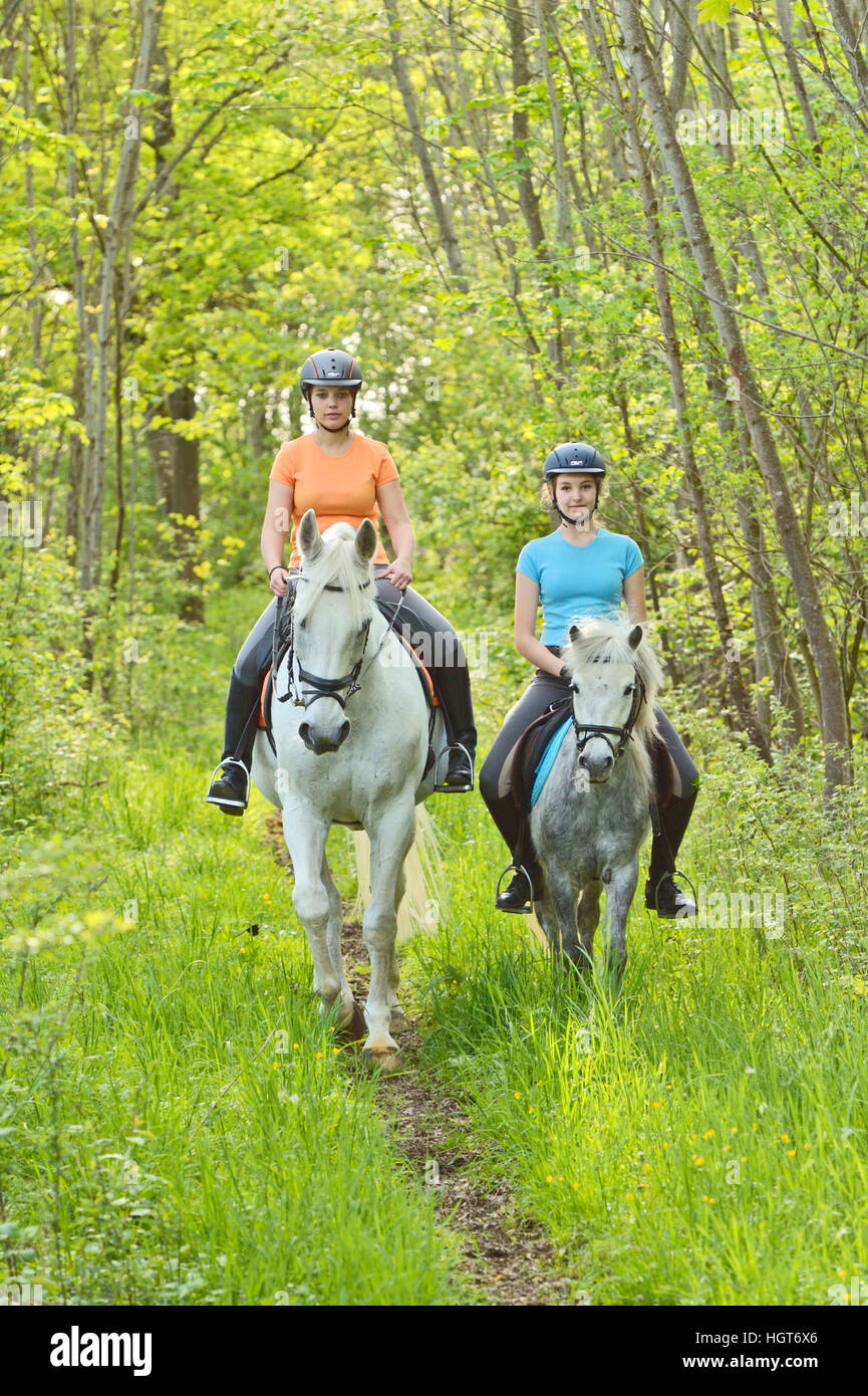 Due cavalieri su cavalli grigi che cavalcano in una foresta Foto Stock
