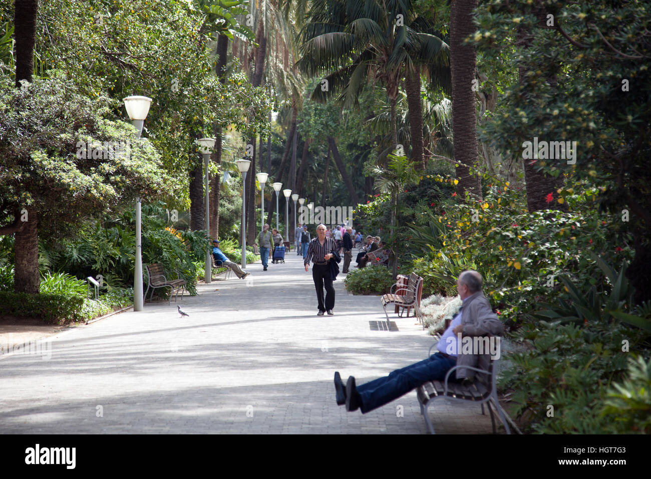 Parque de Málaga Foto Stock