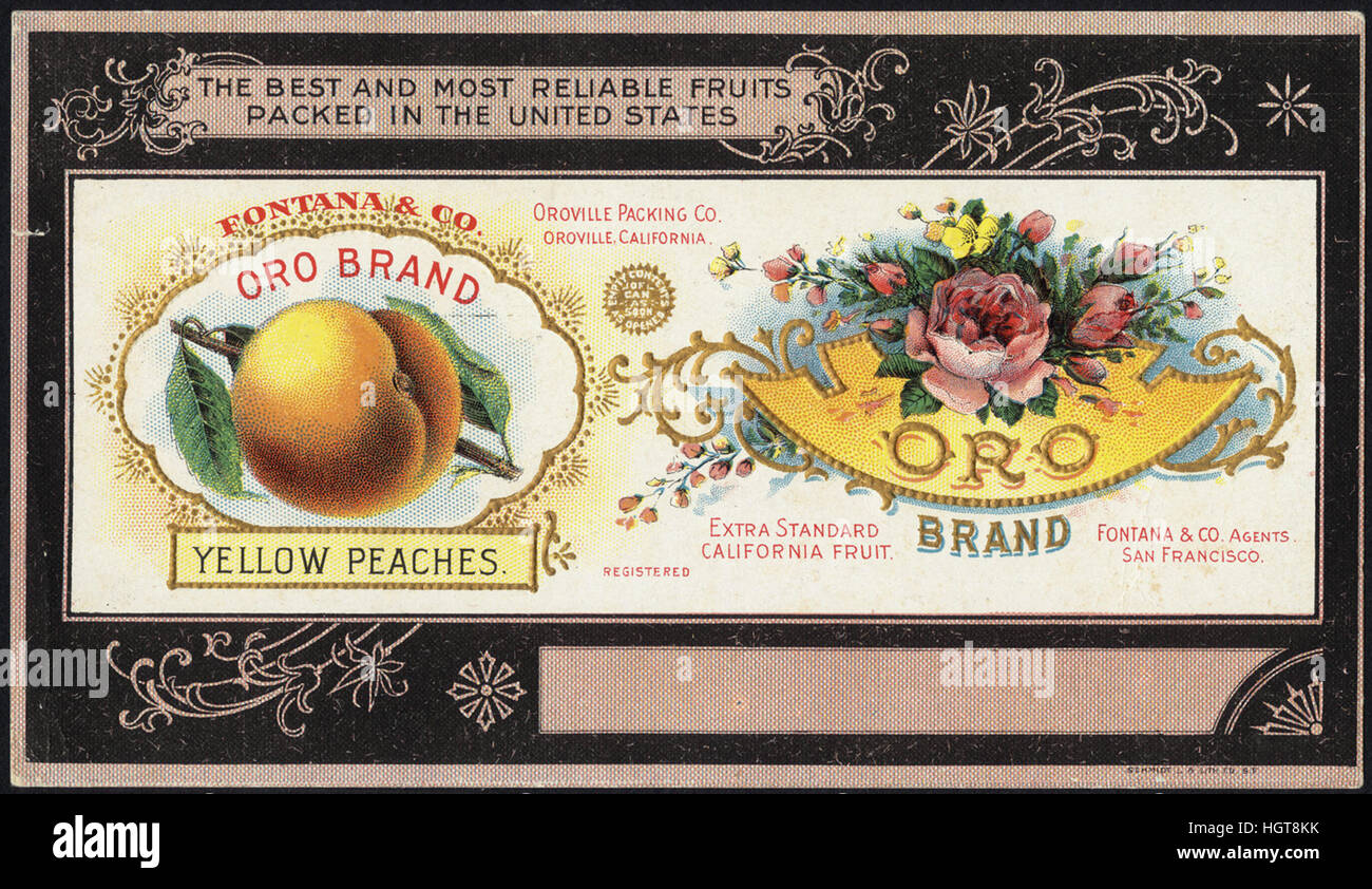 Fontana & Co. Oro marca, il migliore e più affidabile di frutta confezionati in gli Stati Uniti [Anteriore] - Il commercio di generi alimentari Card Foto Stock