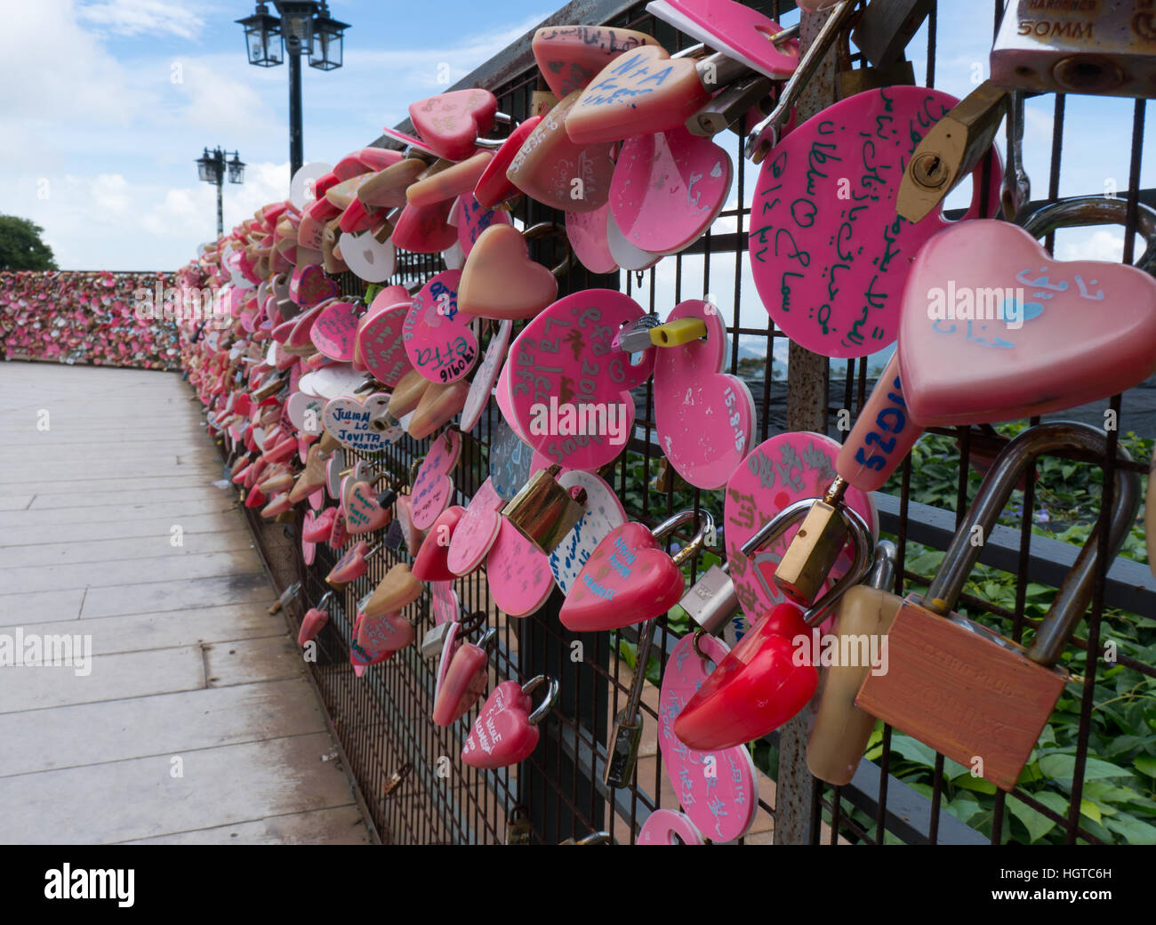 Rosa amore si blocca su un recinto sulla Collina Penang Foto Stock