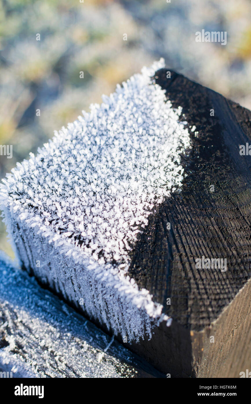 Un lavoro stagionale inverno immagine di gelo su una staccionata in legno post Foto Stock