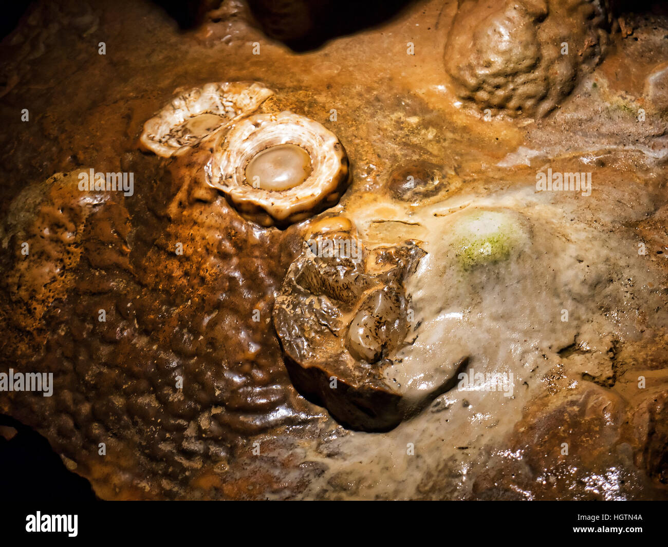 Il favoloso Luray Caverns in Virginia STATI UNITI D'AMERICA. Essi sono visitati da milioni di persone ogni anno Foto Stock