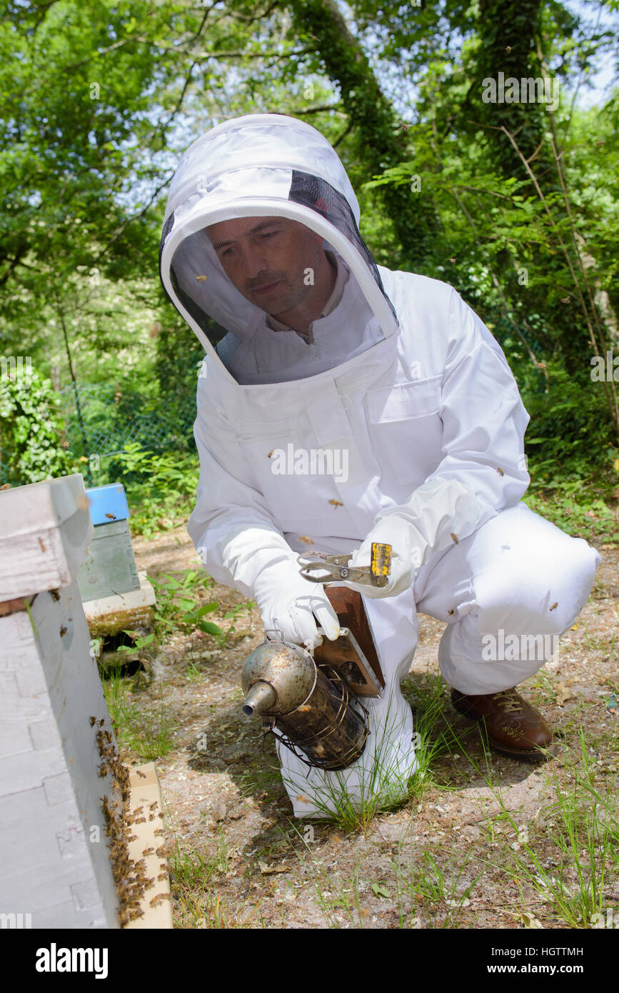 Apicoltore alveare per fumatori Foto Stock