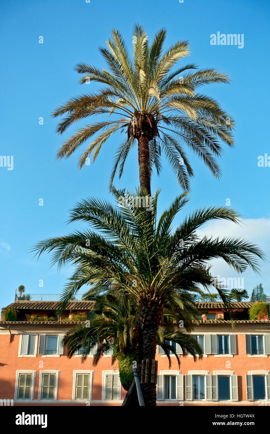 Edificio in Piazza di Spagna, palme. In una giornata di sole con cielo blu. Roma, Italia, Europa, Unione europea, UE. Foto Stock