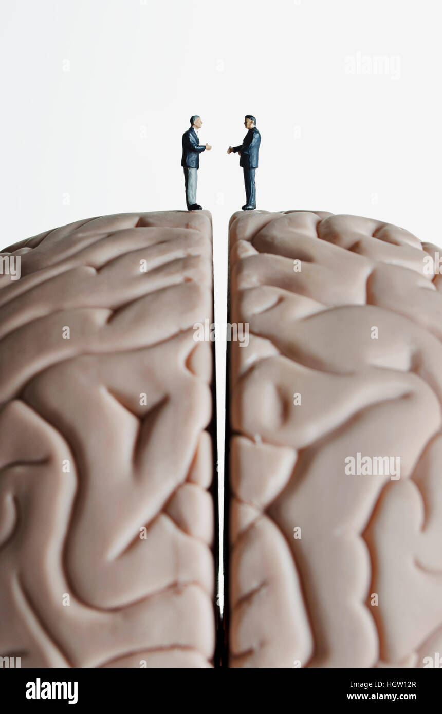 Business figurine collocato su un modello del cervello Foto Stock