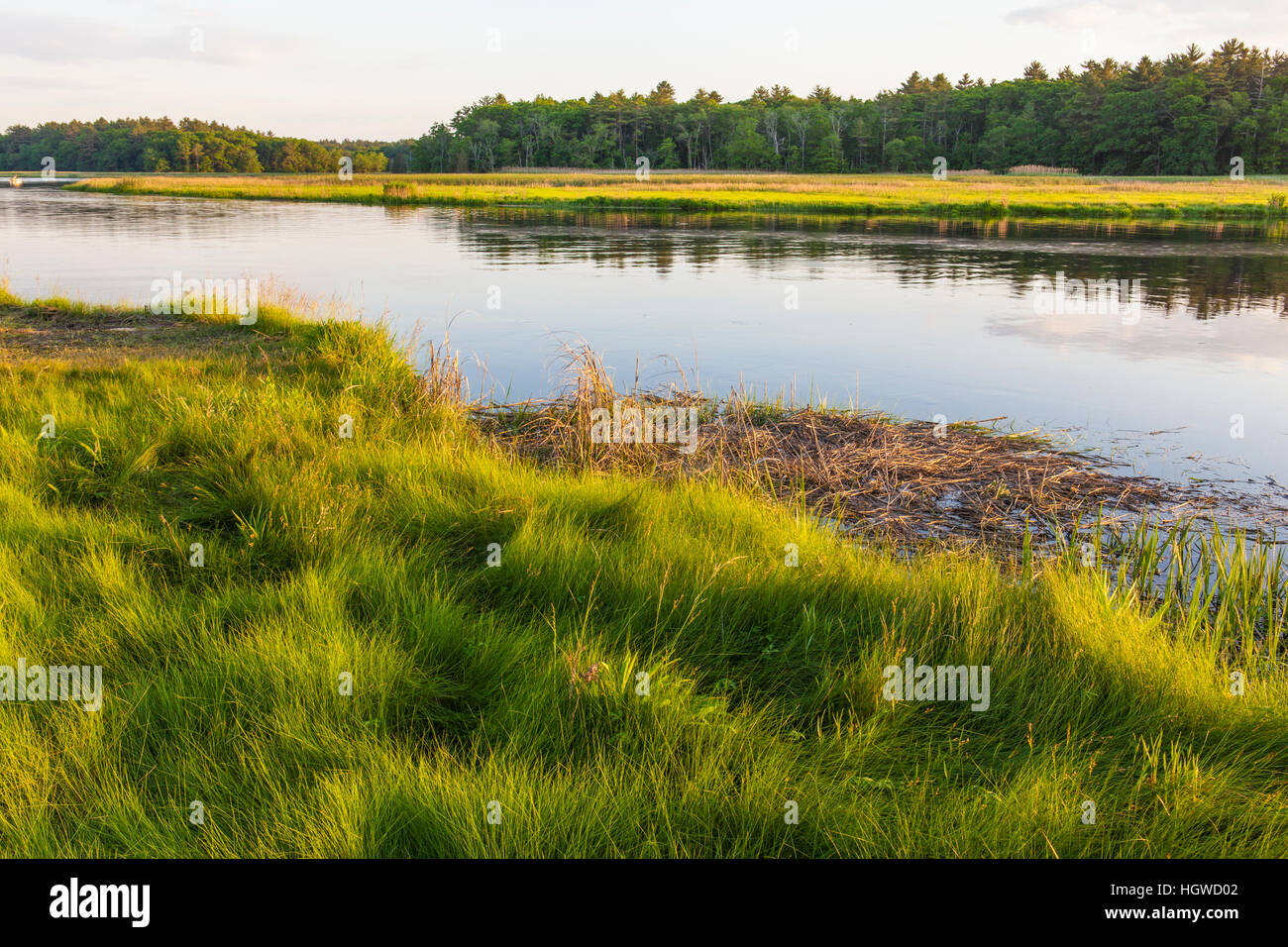 La Palude Salata lungo il fiume del Nord in Marshfield, Massachusetts. Vicino Emilson Farm. Foto Stock