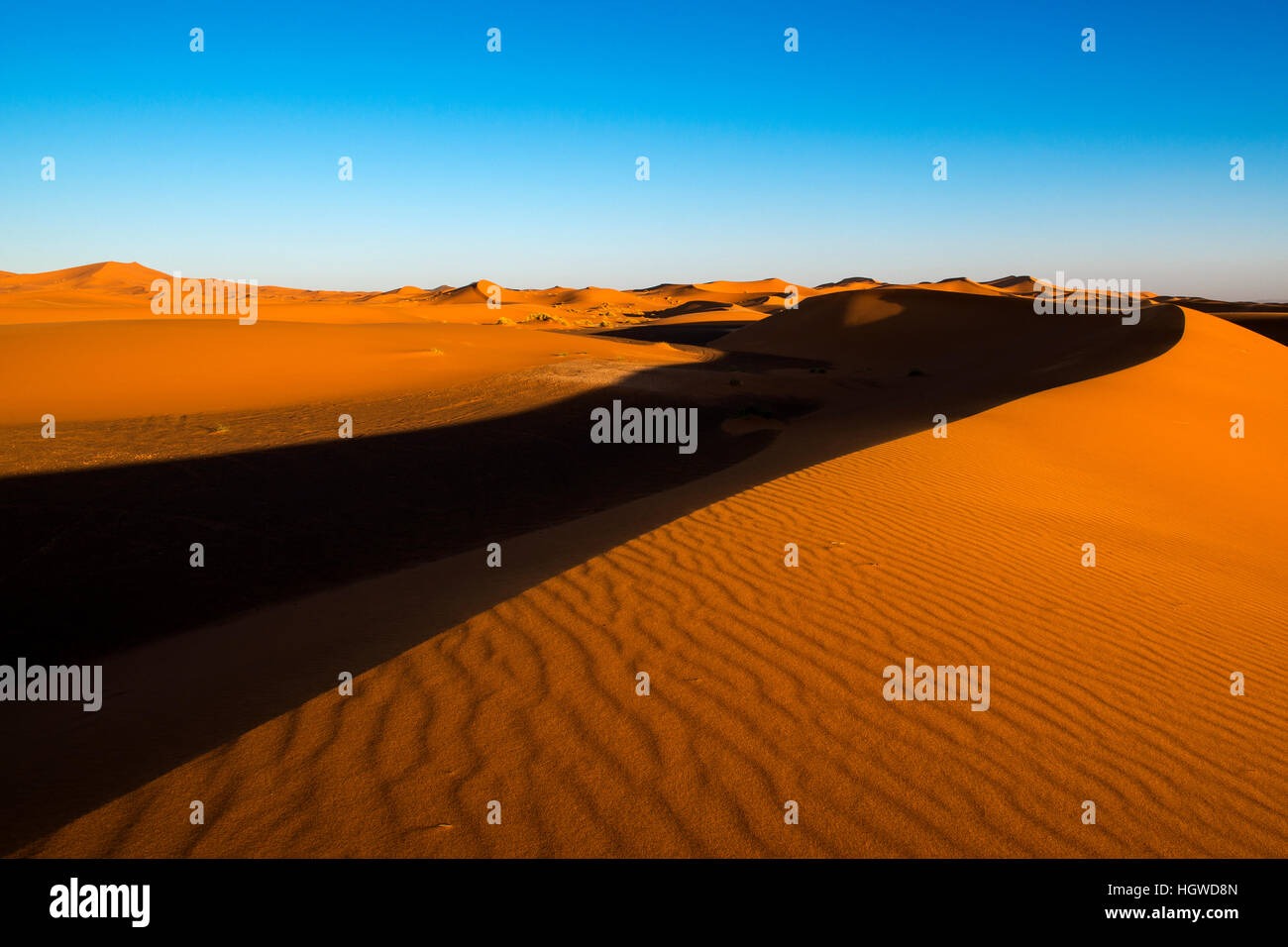 Vista sulle dune al tramonto in Erg Chebbi vicino a Merzouga in Marocco Foto Stock