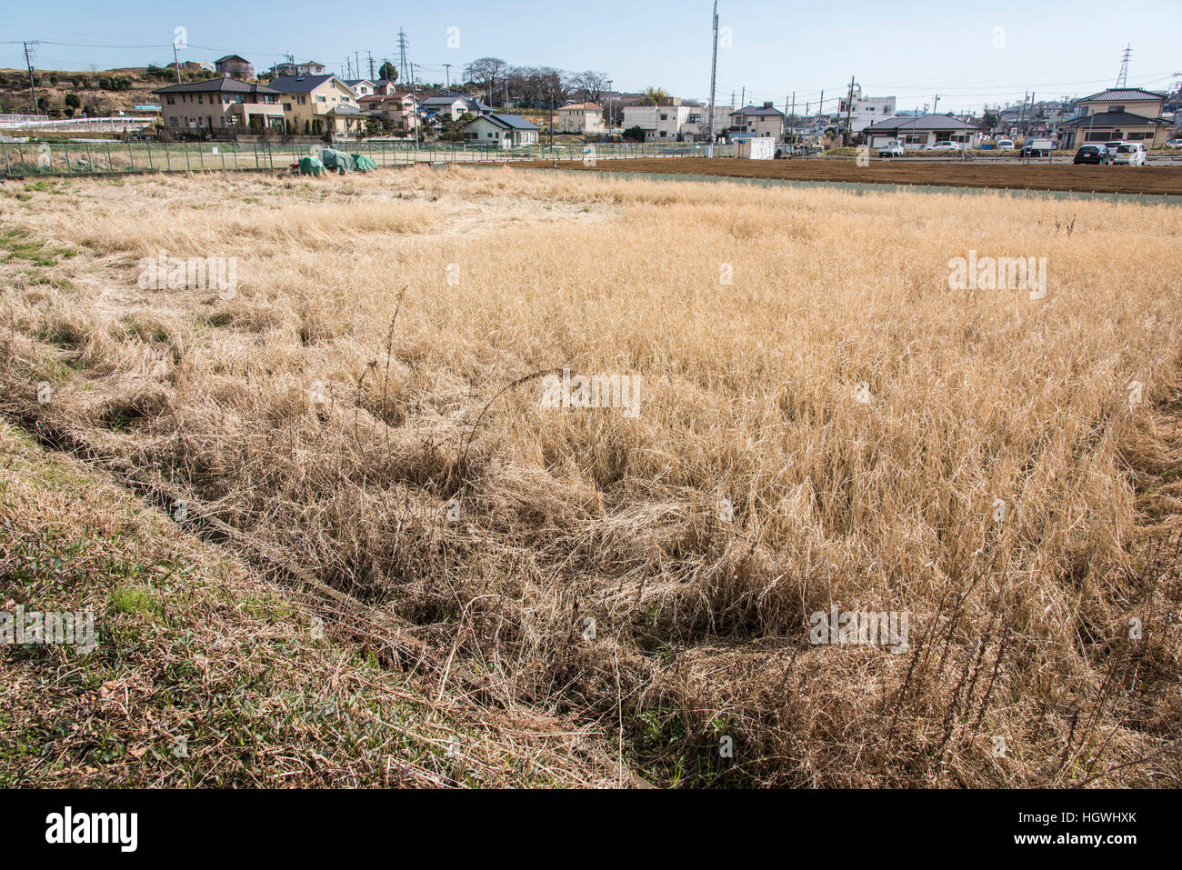 Terreni agricoli abbandonati immagini e fotografie stock ad alta  risoluzione - Alamy