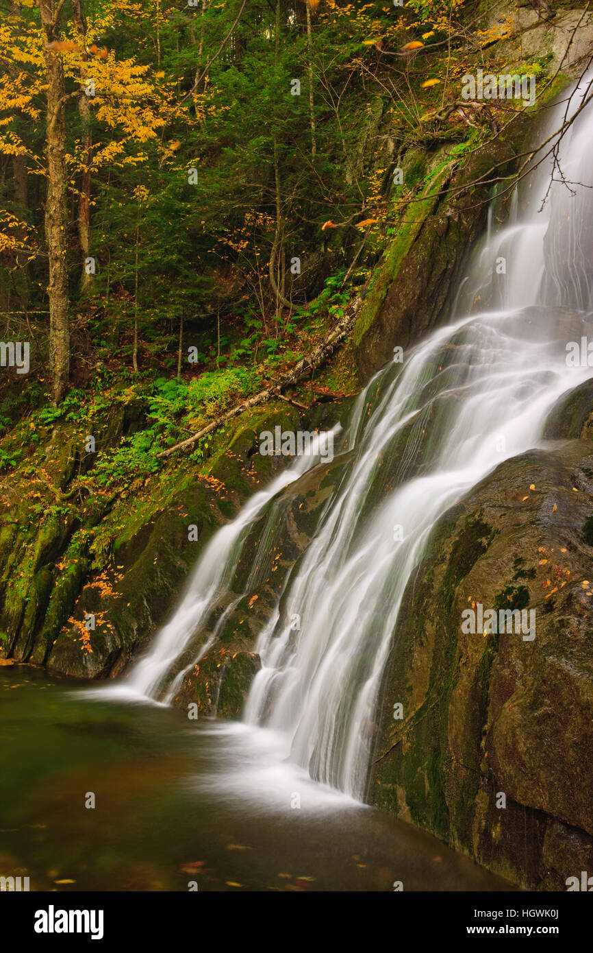 Moss Geln cade nel Vermont montagne verdi. Granville Prenotazione parco dello stato. Foto Stock