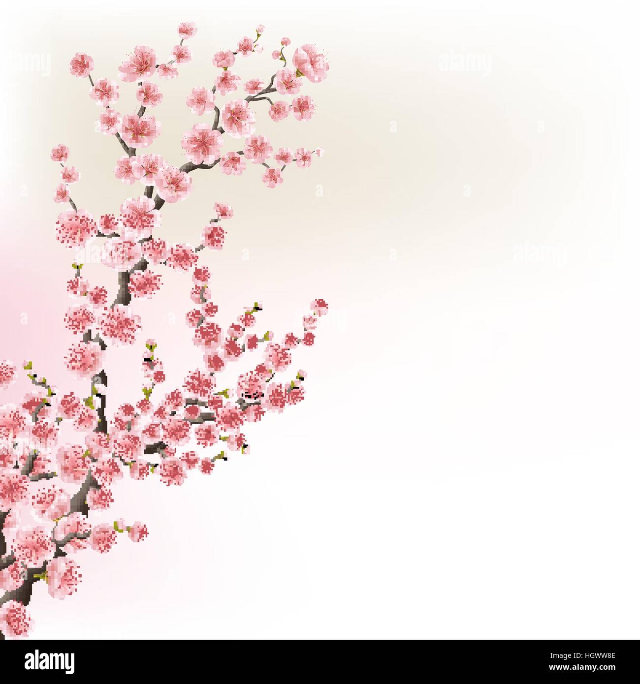 Dei ciliegi in fiore scheda di rami. EPS 10 Illustrazione Vettoriale