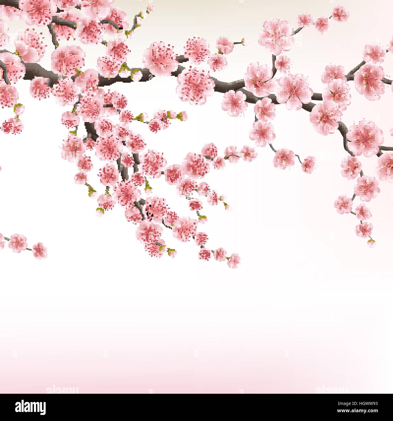 Sbocciano i fiori ciliegio rami. EPS 10 Illustrazione Vettoriale