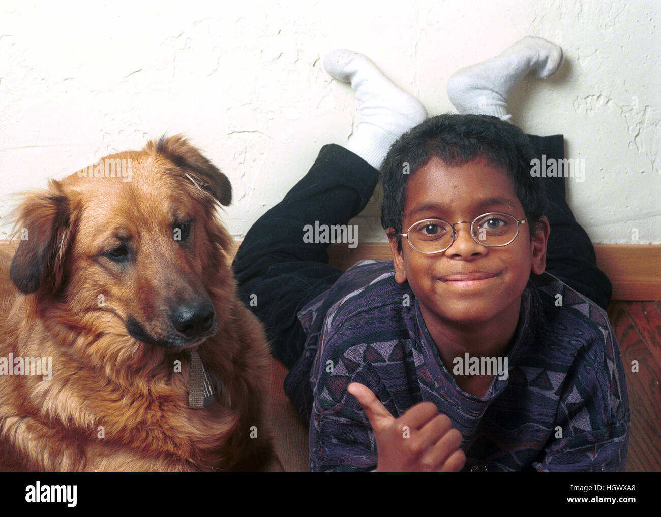Un ragazzo e il suo cane Foto Stock