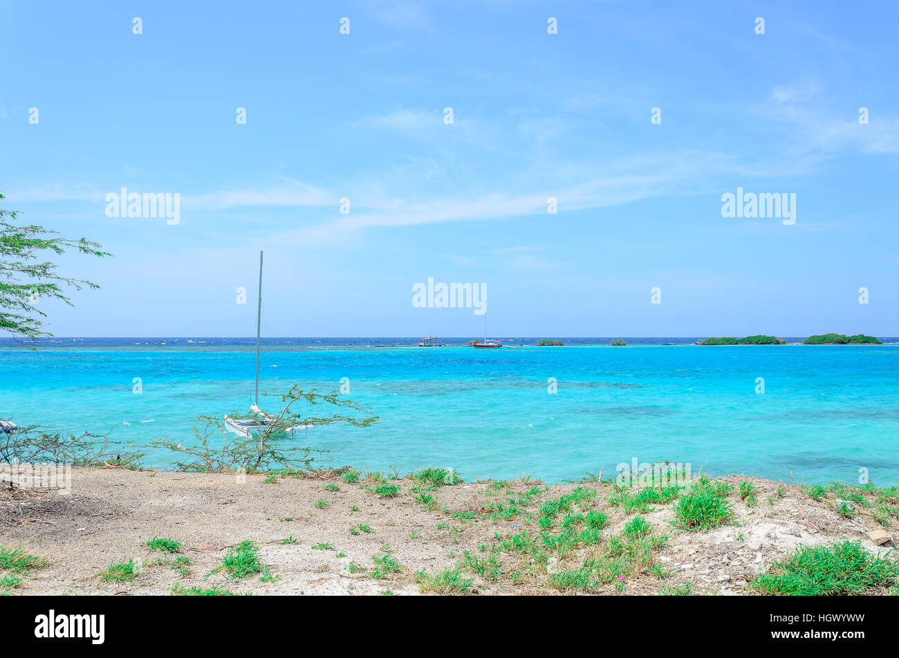 Aruba, dei Caraibi - 28 Settembre 2012: Guardando attraverso gli alberi in Mangel Halto beach ad Aruba Foto Stock