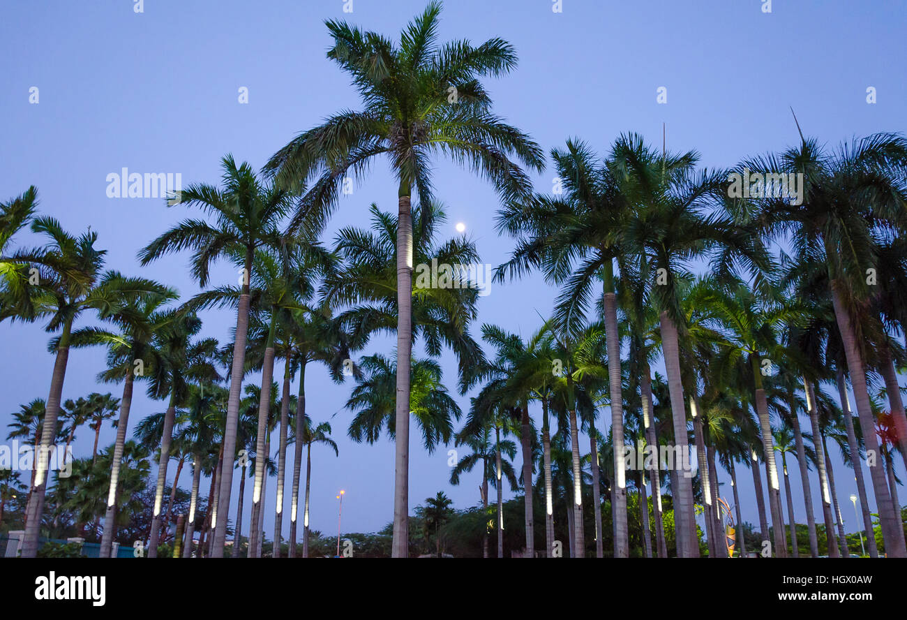 Aruba, dei Caraibi - Settembre 27, 2012: Scenic vista al tramonto tra gli alberghi e alloggi turistici presso la località di villeggiatura di Palm Beach Foto Stock