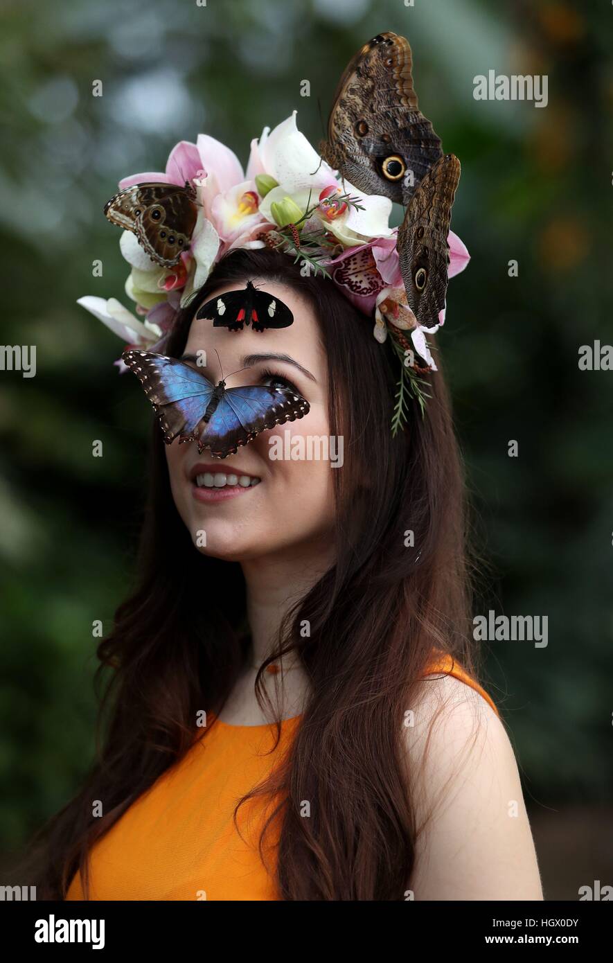 Modello Jessie può Smart con Blue Morpho, gigante Owl e Transandean Cattleheart farfalle durante un photocall per RHS Wisley giardino di farfalle in The Glasshouse mostra a Woking, Surrey. Foto Stock