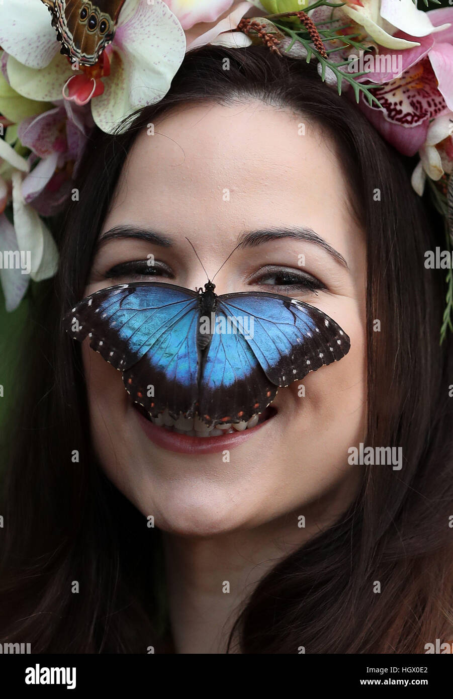 Modello Jessie può Smart con un blu Morpho butterfly durante un photocall per RHS Wisley giardino di farfalle in The Glasshouse mostra a Woking, Surrey. Foto Stock