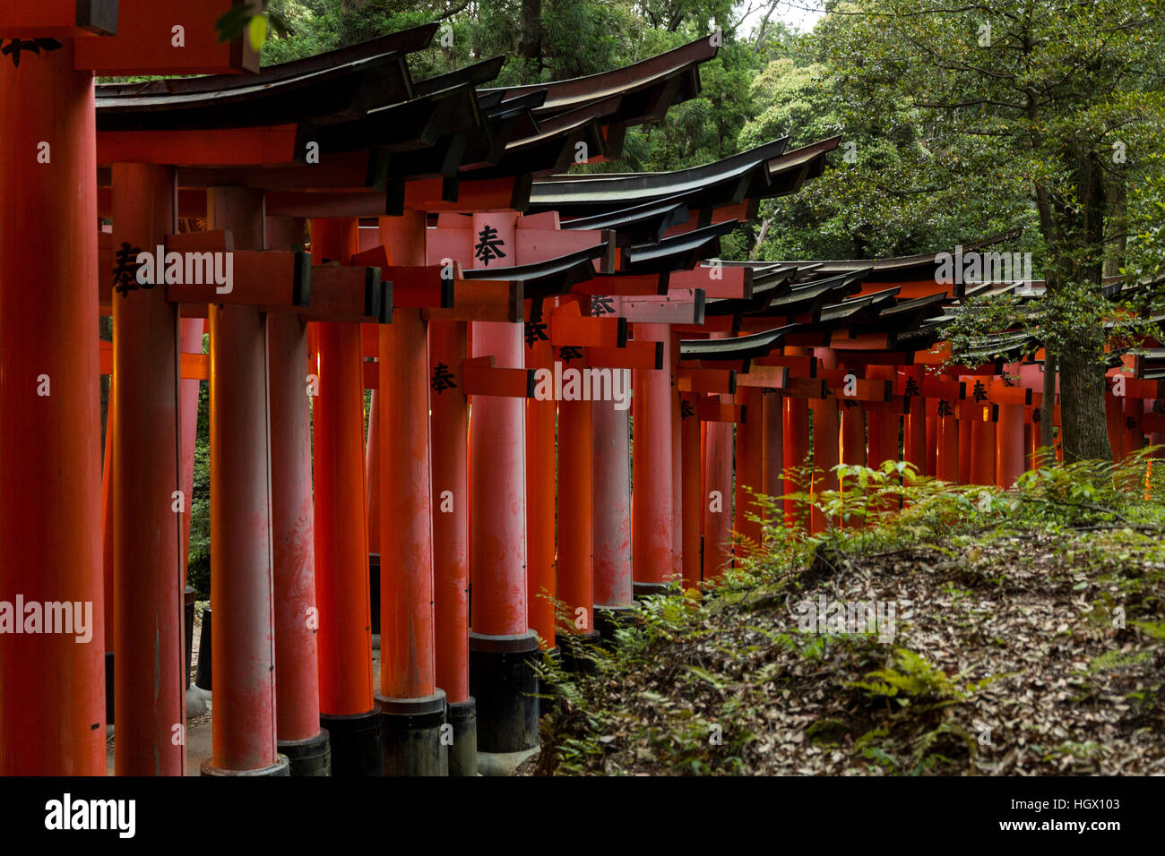 Fushimi Inari Taisha, Fushimi-ku, Kyoto, Giappone. Foto Stock
