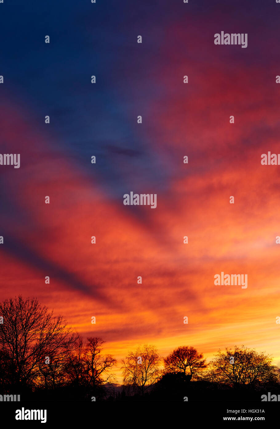 Splendido tramonto in inverno Foto Stock