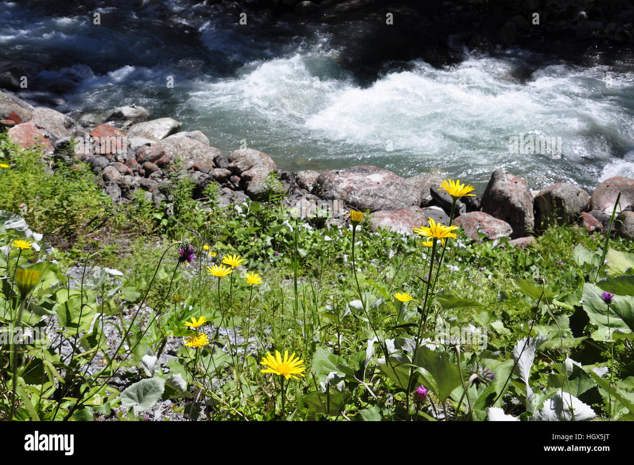 Vecchia strada a Davos Foto Stock