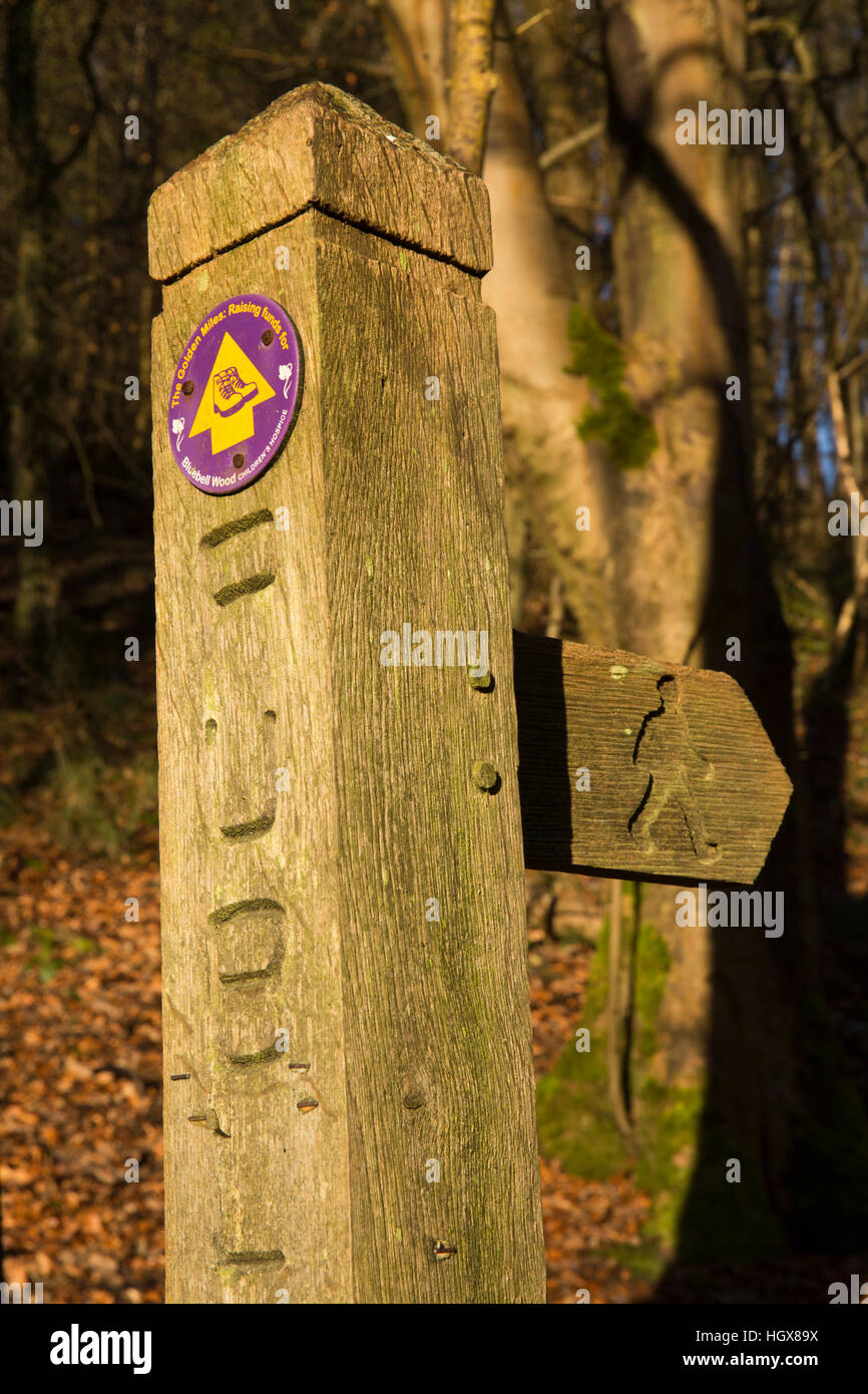 Regno Unito, Inghilterra, Derbyshire, Cressbrook, sentiero pubblico segno posto a Cressbrook Dale Foto Stock