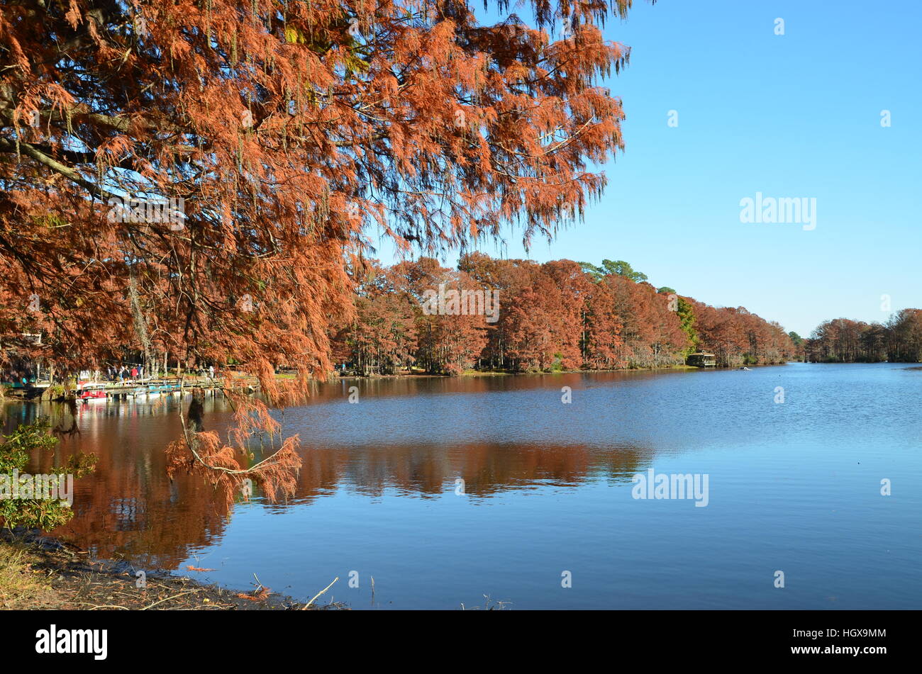 Scena di caduta lungo lago Greenfield in Wilmington North Carolina. Foto Stock