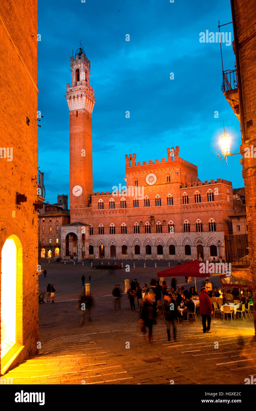 A Piazza del Campo, sito histroric, cavallo di razza arena, città storica, Siena, Toscana, Italia, Europa Foto Stock
