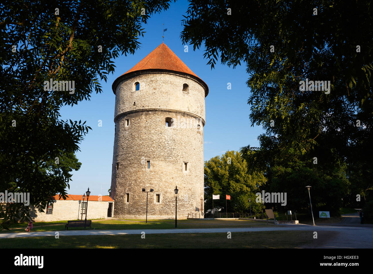 Tallinn, Estonia. Torre medievale Kiek-in-de-Kok nel parco sulla collina di Toompea Foto Stock