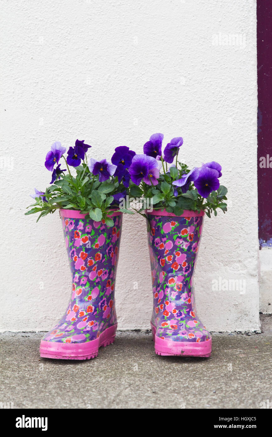 Colorato Stivali in gomma riempito di fiori adornano le case, i gateway e le porte della Irish villaggio sul mare di Courtmacsherry nella contea di Cork. Foto Stock