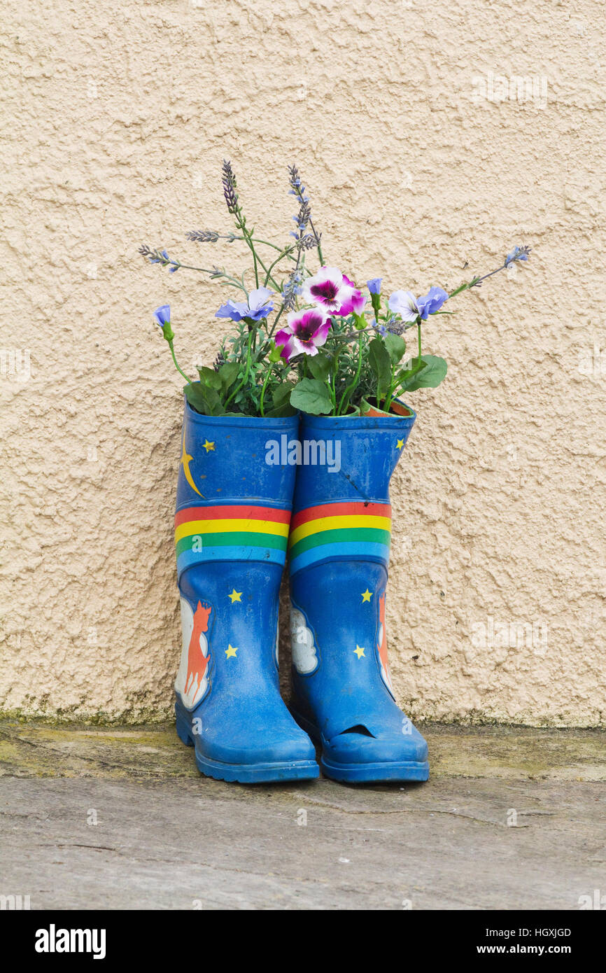 Colorato Stivali in gomma riempito di fiori adornano le case, i gateway e le porte della Irish villaggio sul mare di Courtmacsherry nella contea di Cork. Foto Stock