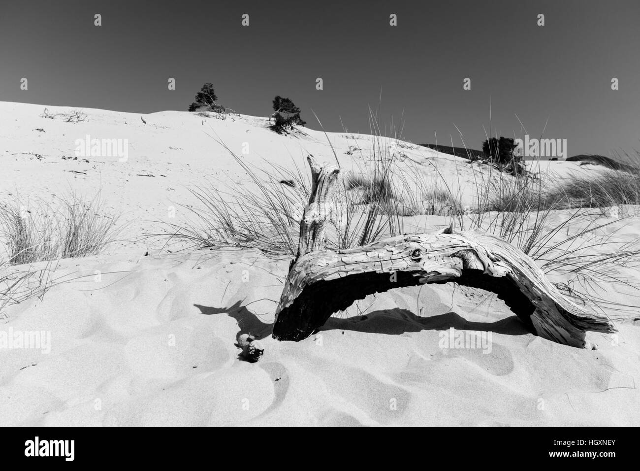 La spiaggia di Le Dune, noto anche come White Sands, è una zona di dune di sabbia bianca nella città di Teulada, in località Porto Pino, Sardegna, Italia Foto Stock