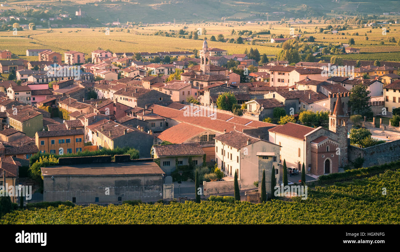 Vista di Soave (Italia) circondato da vigneti che producono uno dei più apprezzati vini bianchi italiani. Foto Stock