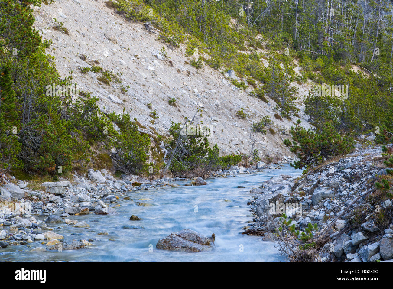 Naturale flusso selvatici in montagna in condizioni di luce diurna Foto Stock