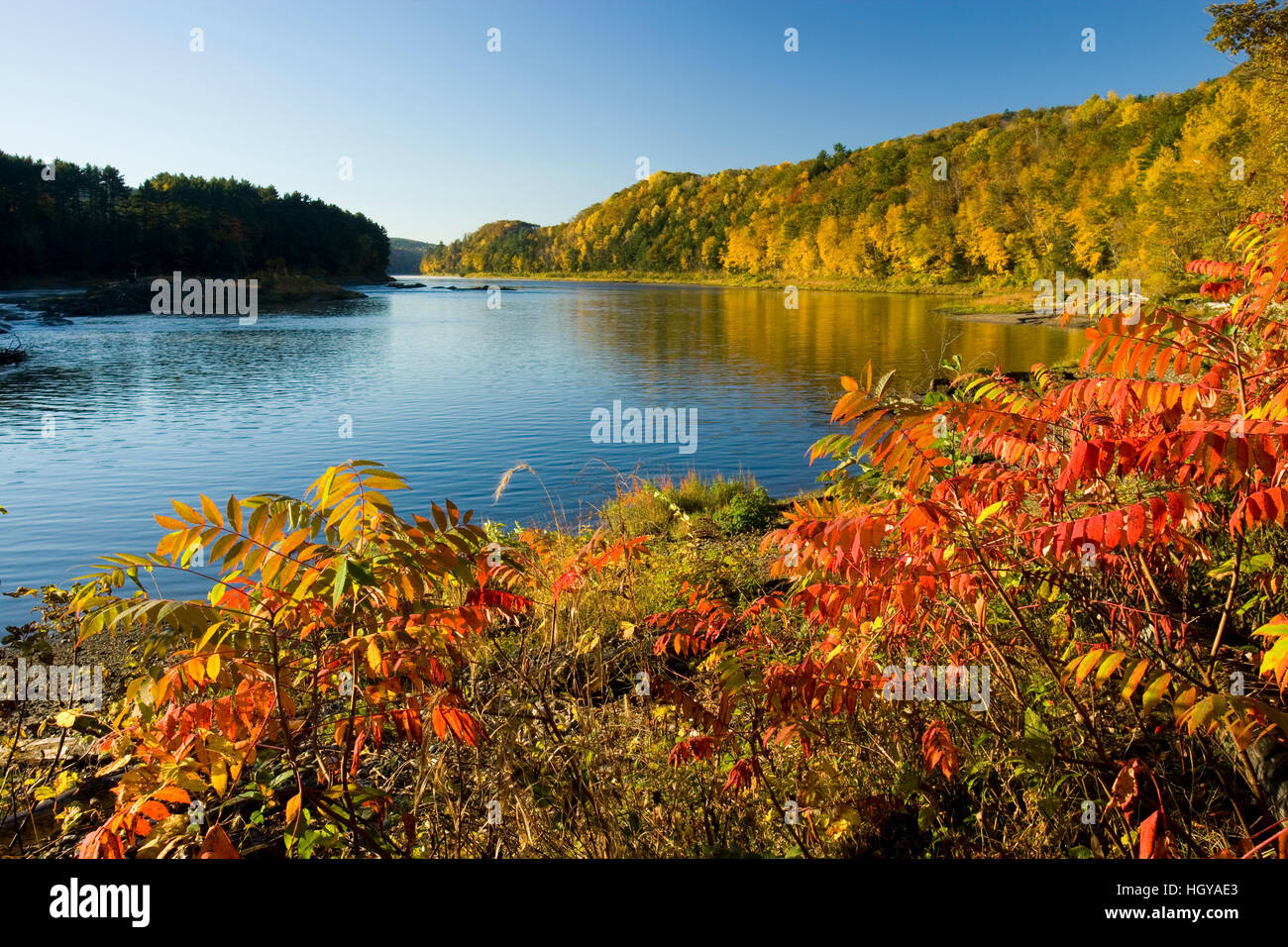 Il fiume Connecticut a Sumner Falls (Hartland Rapids) in Hartland, Vermont. Foto Stock