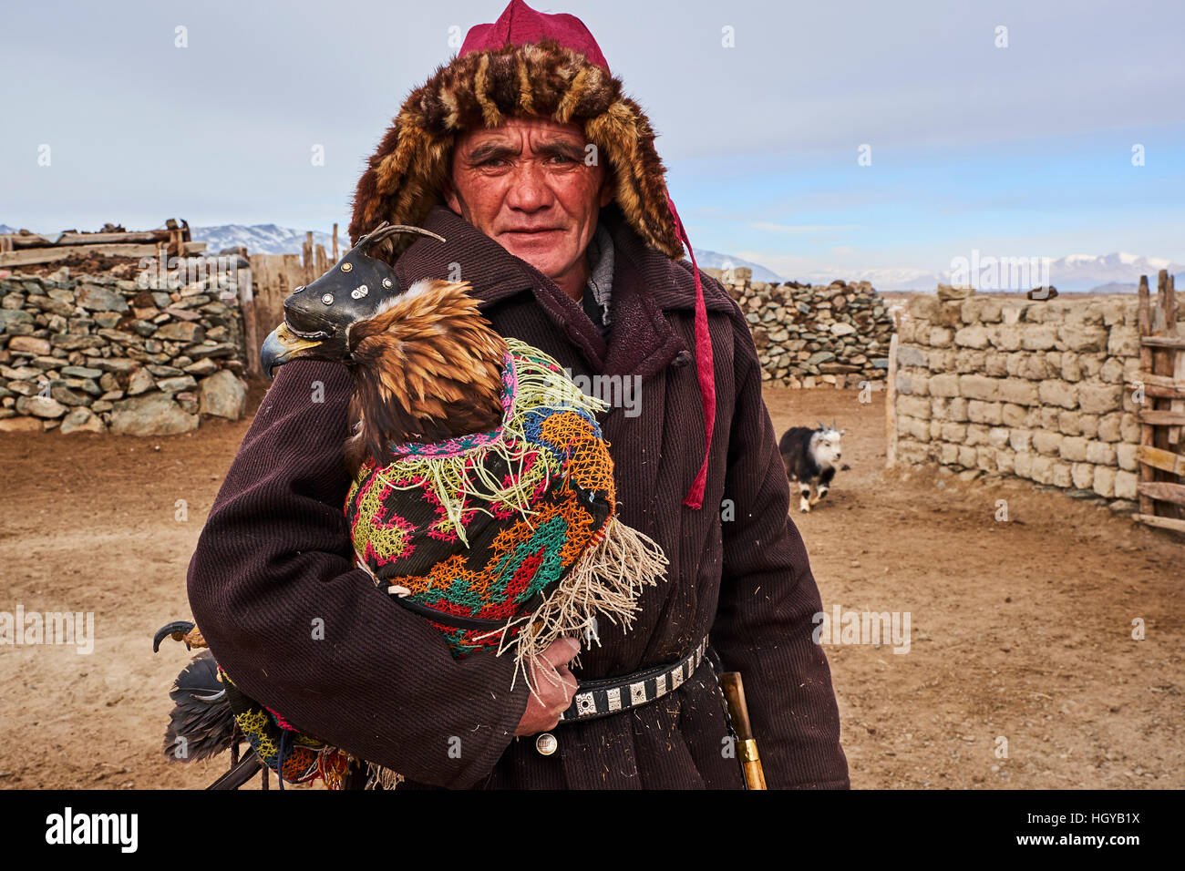 Mongolia, Bayan Olgii, il kazako eagle hunter, Eagle caccia, golden eagle Foto Stock