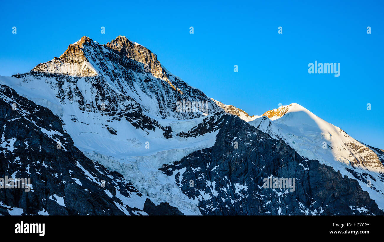 La luce del mattino sul 4158m Jungfrau (sinistra) e 3707m Silberhorn nelle Alpi svizzere nei pressi di Grindelwald Foto Stock