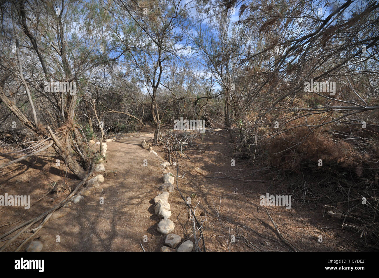 Battesimo sito walking trail riempito con antichi alberi di sahara Foto Stock