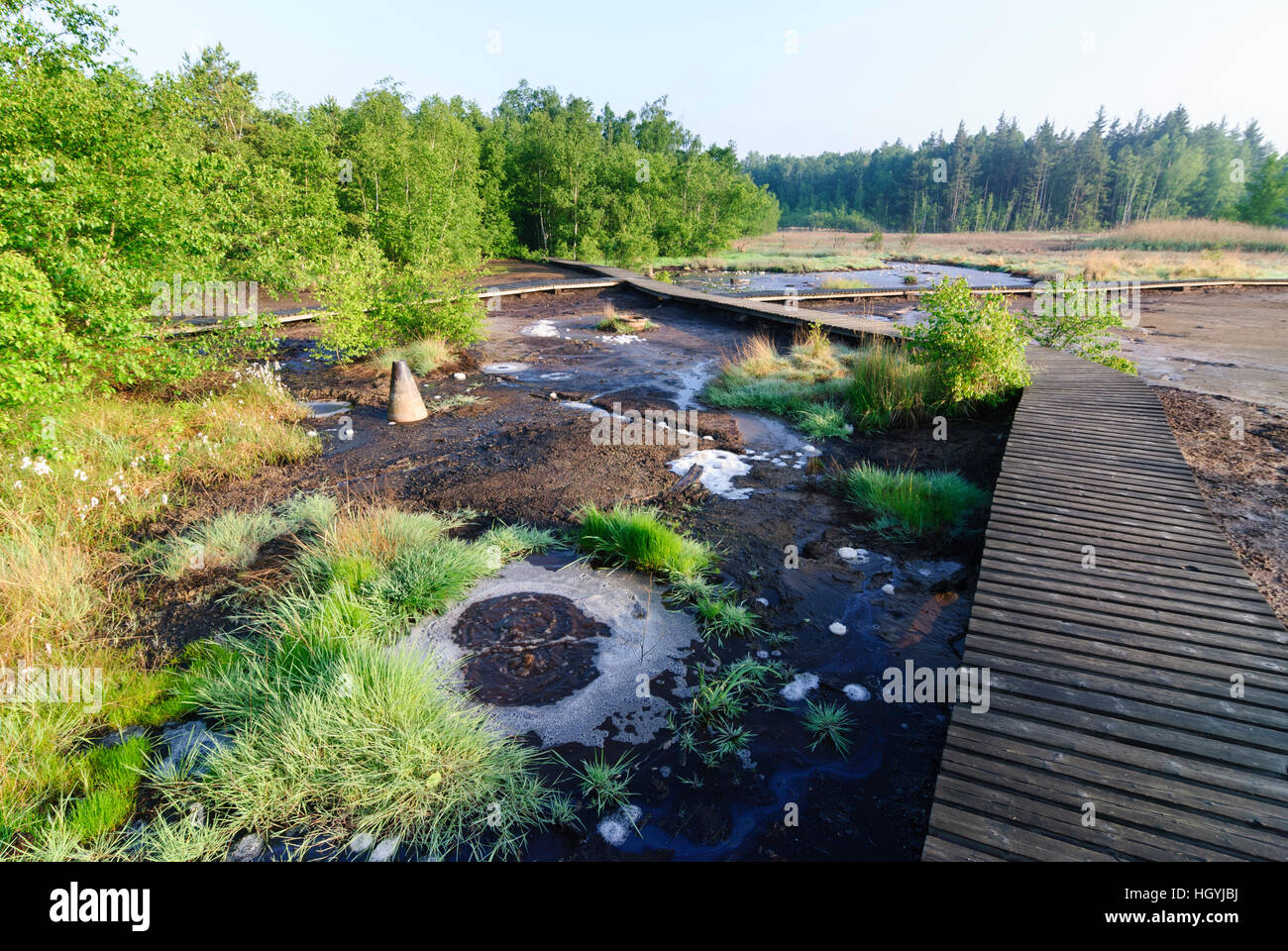 Frantiskovy Lazne (Franzensbad): Moor nella riserva naturale SOOS con mofetta - Egerland, , Karlovarsky, Karlsbader Regione, Regione di Karlovy Vary, ceco Foto Stock