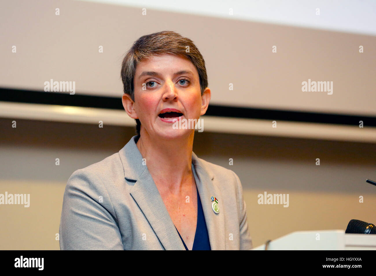Glasgow, Scotland, Regno Unito. Xiv gen, 2017. Quasi mille persone hanno partecipato alla indipendenza scozzese Conventiion, svoltasi presso il Radisson Blu Hotel di Glasgow, Scozia, per discutere la Convenzione della politica e della strategia per il conseguimento di una Scozia indipendente. La Convenzione è stata presieduta da Elaine C Smith, una ben nota attrice e il comico, e lei è stata supportata da altoparlanti inclusi Angela costanza MSP, Tommy Sheppard MP, e Maggie Chapman Co-Convener scozzese della verdi. © Findlay/Alamy Live News Foto Stock