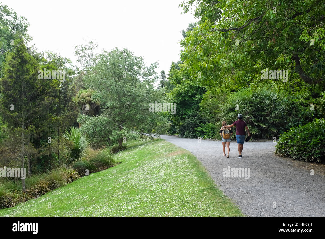 Hagley Park a Christchurch, Nuova Zelanda. Foto Stock