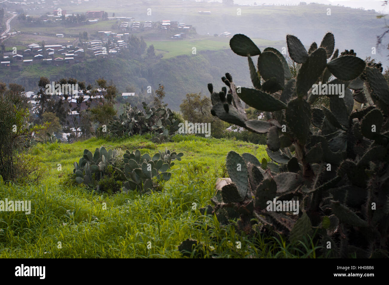 Lalibela, Amhara Region, Etiopia. Vista generale della città di Lalibela. Lalibela è una città monastica del nord dell'Etiopia, la seconda città sacra dell' Foto Stock