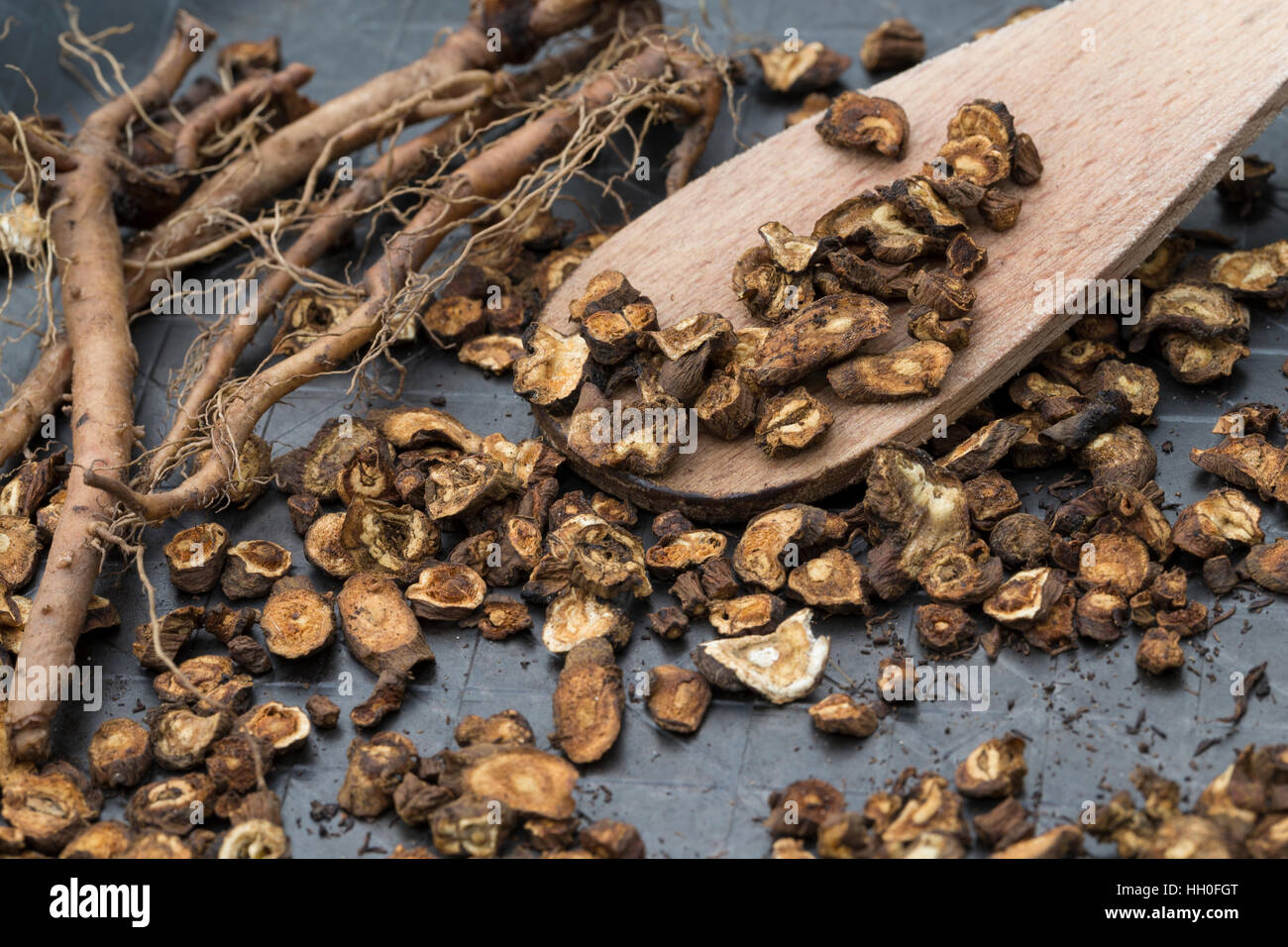 Löwenzahn-Wurzel, Löwenzahn-Wurzeln, Löwenzahnwurzel, Löwenzahnwurzeln, Wiesen-Löwenzahn, Radix Taraxaci, Taraxaci radix, Zerkleinerte Wurzeln werden Foto Stock